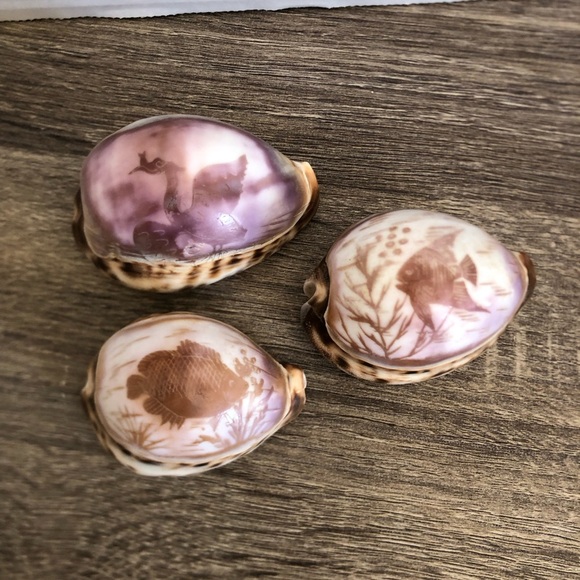 Vtg Hand Carved Cowrie Seashells with Intricate Designs - Picture 1 of 12